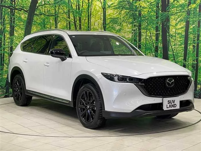 Mazda CX-8 2023 — миниатюра 3