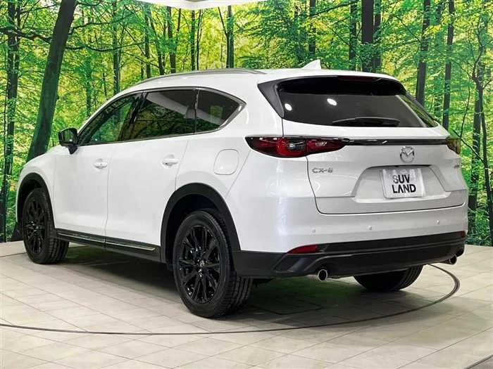 Mazda CX-8 2023 — миниатюра 4