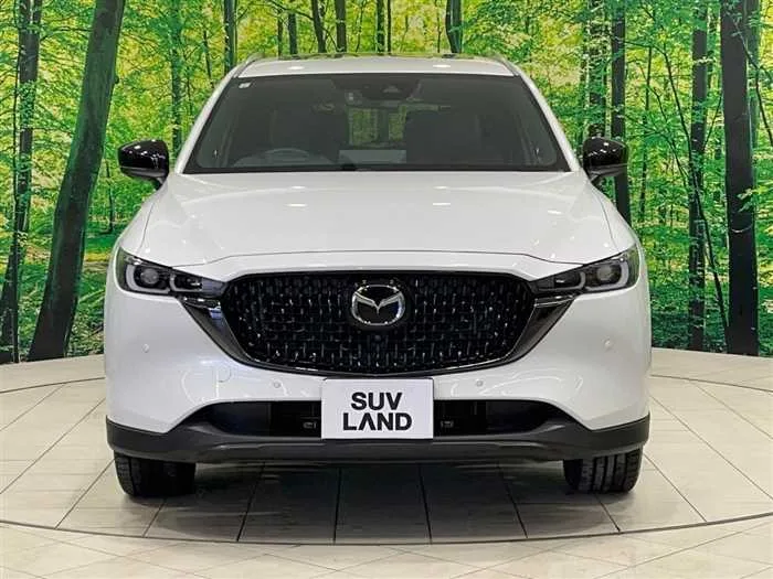 Mazda CX-8 2023 — миниатюра 5
