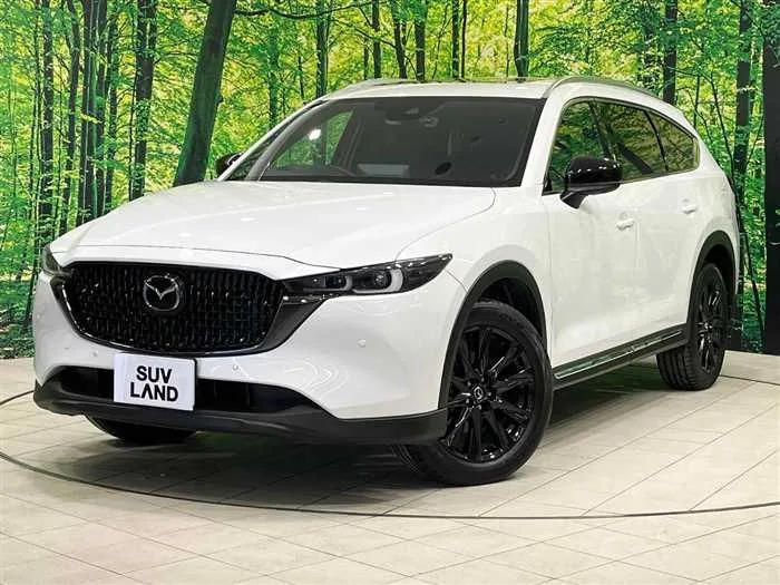 Mazda CX-8 2023 — фото 1, купить с доставкой в Москву