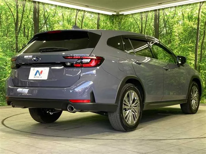 Subaru Subaru Others 2025 — миниатюра 4