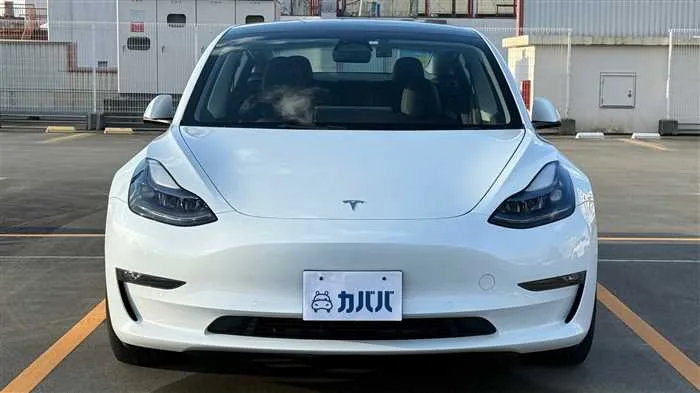 Tesla Motors Others 2023 — миниатюра 2