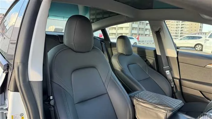 Tesla Motors Others 2023 — миниатюра 3
