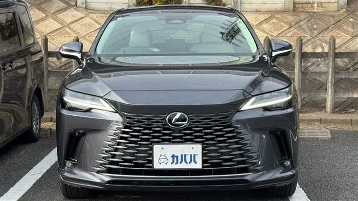 Lexus RX 350h L 4WD 2024 — миниатюра 2
