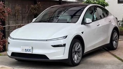 Tesla Motors Others 2025 купить в Москве