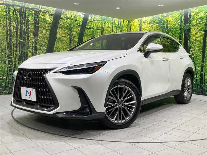 Lexus NX 2023 — фото 1, купить с доставкой в Москву