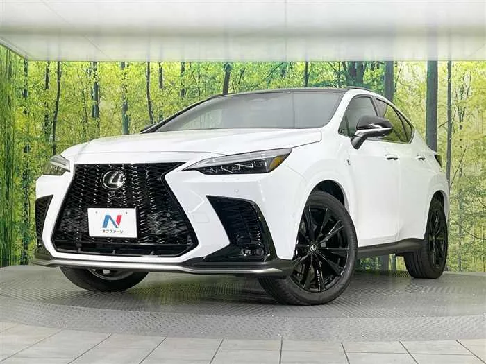 Lexus NX 2024 — фото 1, купить с доставкой в Москву