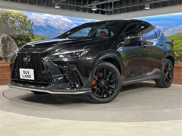 Lexus NX 2024 — фото 1, купить с доставкой в Москву