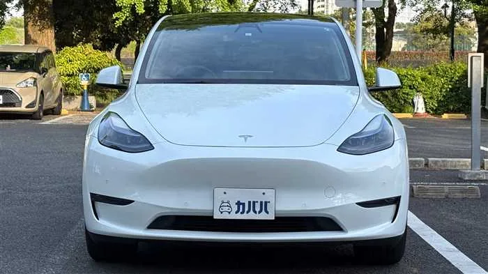 Tesla Motors Others 2023 — миниатюра 2