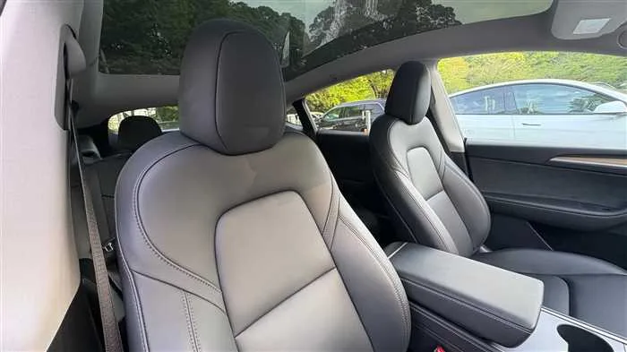 Tesla Motors Others 2023 — миниатюра 3