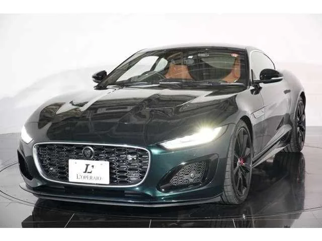 Jaguar Jaguar Others 2023 — миниатюра 4