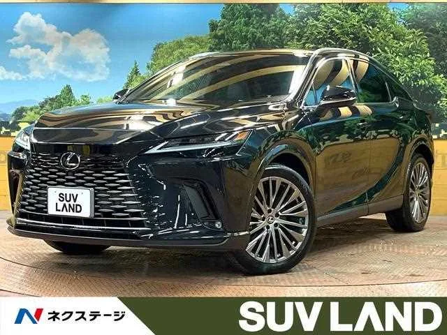 Lexus RX 2023 — фото 1, купить с доставкой в Москву