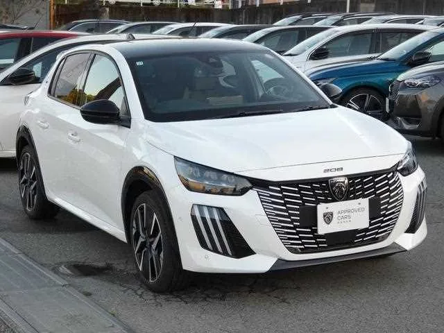 Peugeot Peugoet Others 2025 — фото 1, купить с доставкой в Москву