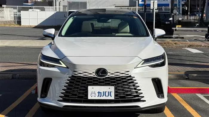 Lexus RX 350h L 2023 — миниатюра 2