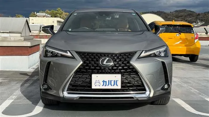 Lexus UX 250h L 2023 — миниатюра 2