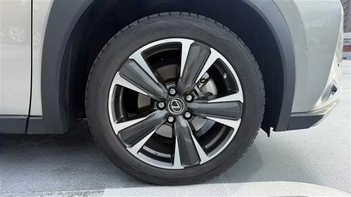 Lexus UX 250h L 2023 — миниатюра 4