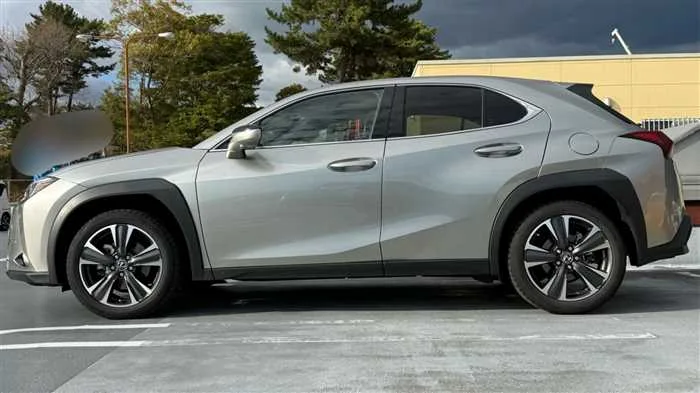 Lexus UX 250h L 2023 — миниатюра 5