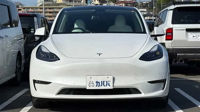 Tesla Motors Others 2022 — миниатюра 2