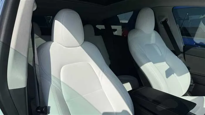 Tesla Motors Others 2022 — миниатюра 3