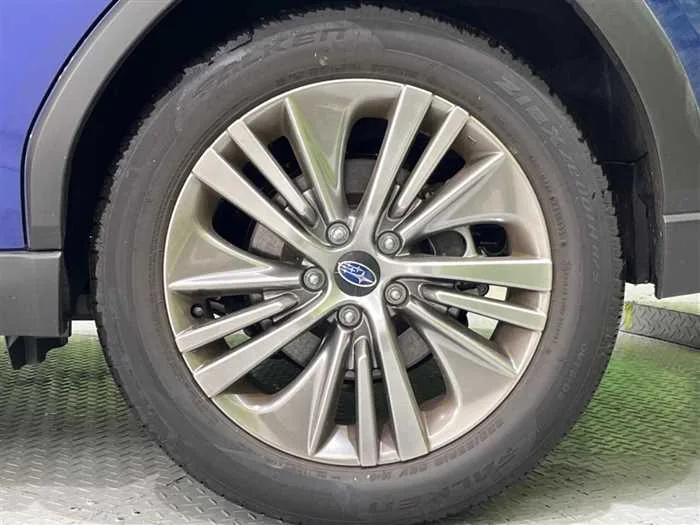 Subaru Subaru Others 2024 — миниатюра 3