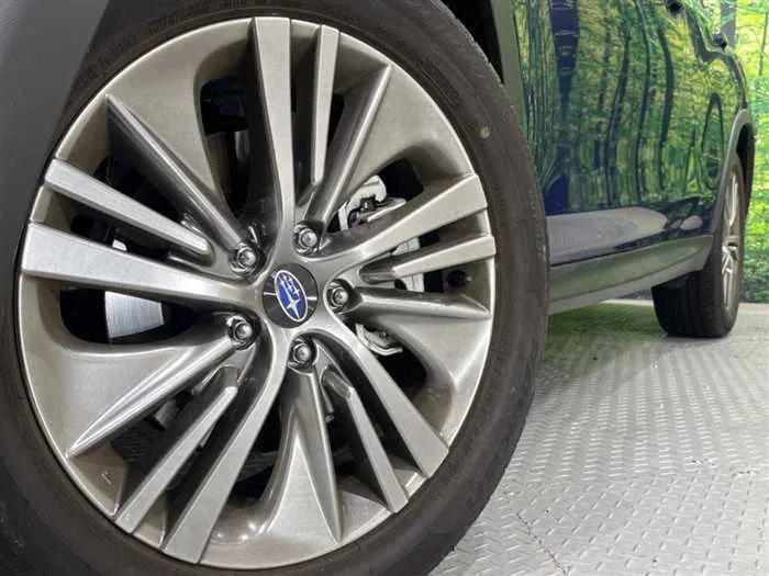 Subaru Subaru Others 2024 — миниатюра 5