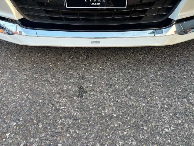 Toyota Alphard G 2024 — миниатюра 3