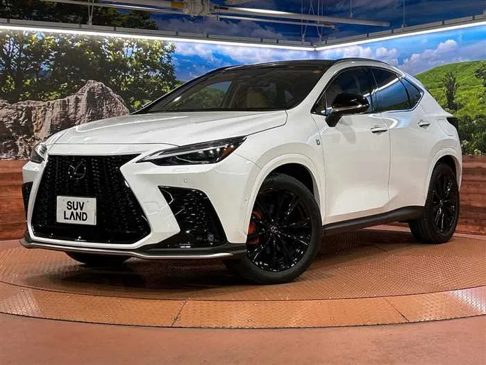 Lexus NX 2024 — фото 1, купить с доставкой в Москву