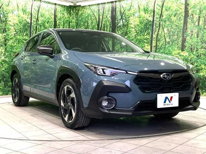 Subaru Subaru Others 2023 — миниатюра 4