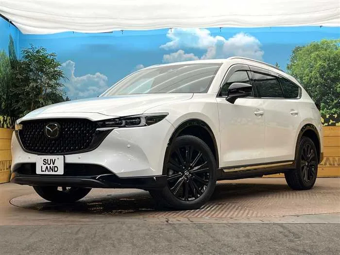 Mazda CX-8 2023 — фото 1, купить с доставкой в Москву