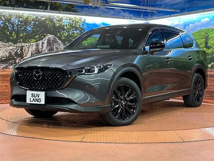 Mazda CX-8 2023 — фото 1, купить с доставкой в Москву