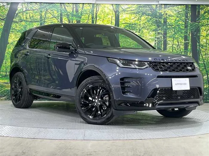 Land Rover Discovery Sport 2024 — фото 1, купить с доставкой в Москву