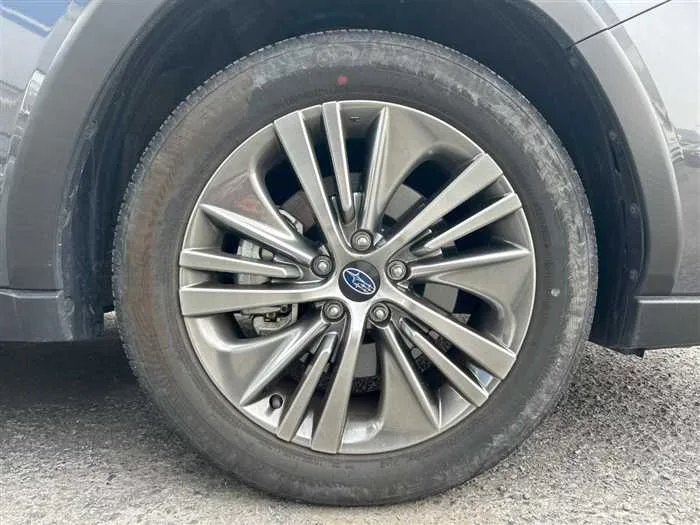 Subaru Subaru Others 2024 — миниатюра 4