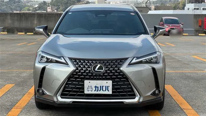 Lexus UX 300h L 2024 — миниатюра 2