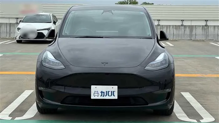 Tesla Motors Others 2023 — миниатюра 2