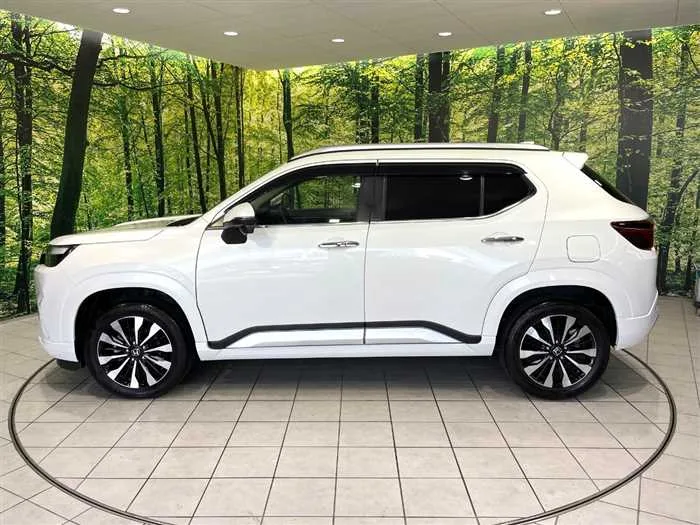 Honda Honda Others 2024 — миниатюра 4