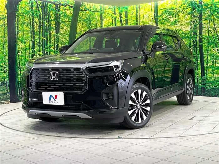 Honda Honda Others 2024 — фото 1, купить с доставкой в Москву