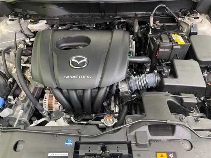 Mazda CX-3 2022 — миниатюра 5