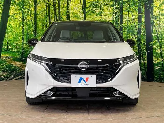 Nissan Nissan Others 2022 — миниатюра 3
