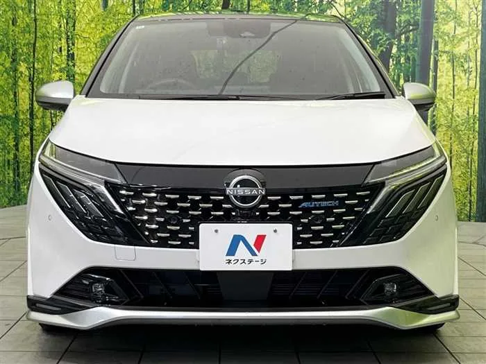 Nissan Nissan Others 2024 — миниатюра 3