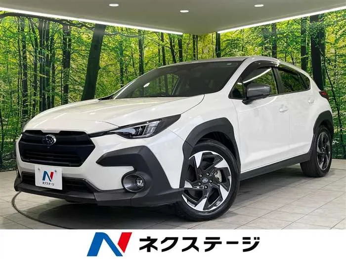 Subaru Subaru Others 2023 — миниатюра 4
