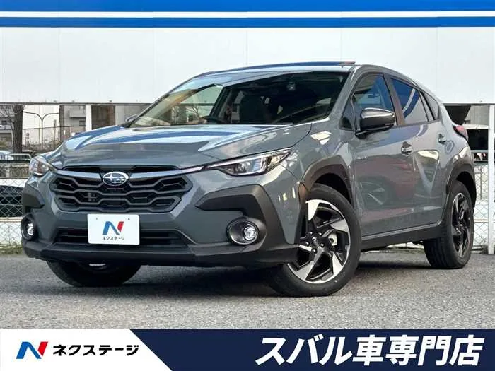 Subaru Subaru Others 2023 — миниатюра 4