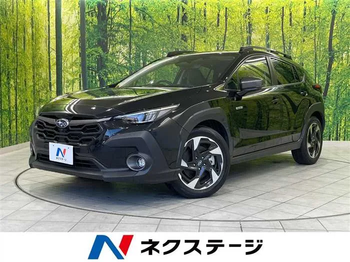 Subaru Subaru Others 2023 — миниатюра 4
