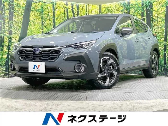 Subaru Subaru Others 2023 — миниатюра 4