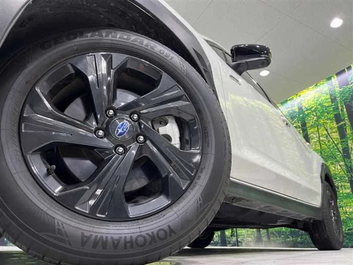 Subaru Subaru Others 2024 — миниатюра 4