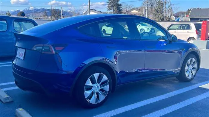 Tesla Motors Others RWD 2022 — миниатюра 5