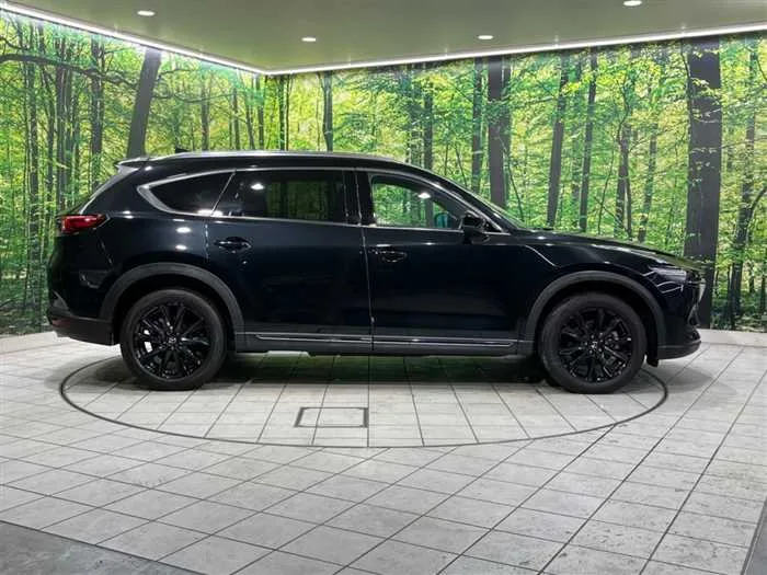 Mazda CX-8 2022 — миниатюра 5