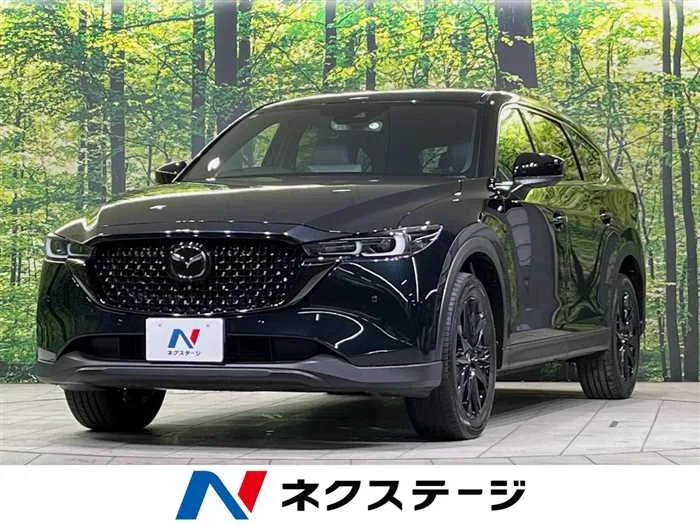 Mazda CX-8 2023 — миниатюра 4