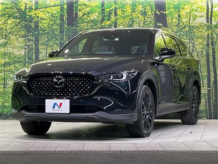Mazda CX-8 2023 — фото 1, купить с доставкой в Москву