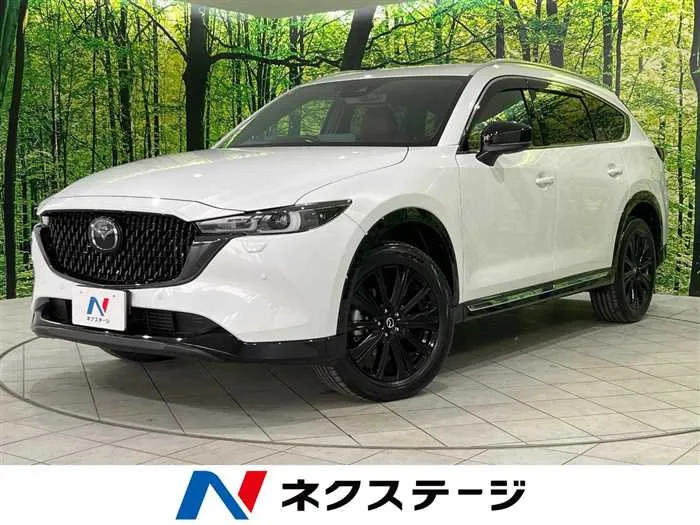 Mazda CX-8 2023 — миниатюра 4