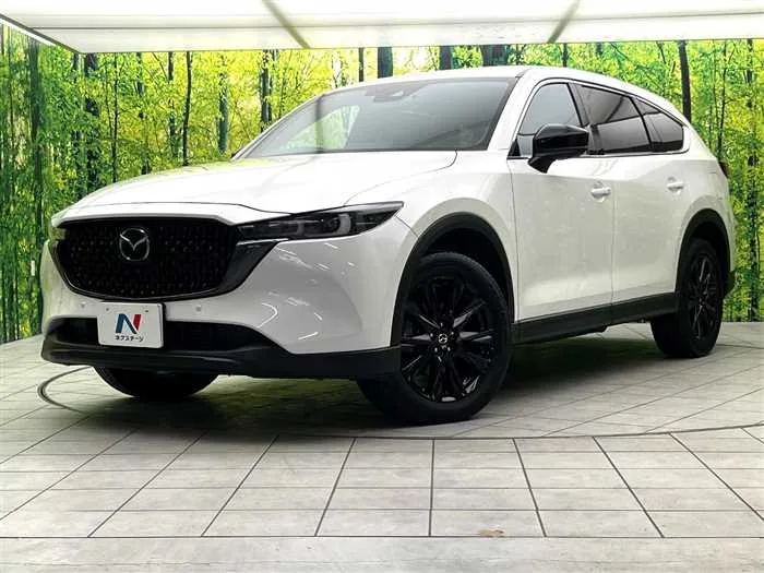 Mazda CX-8 2023 — фото 1, купить с доставкой в Москву